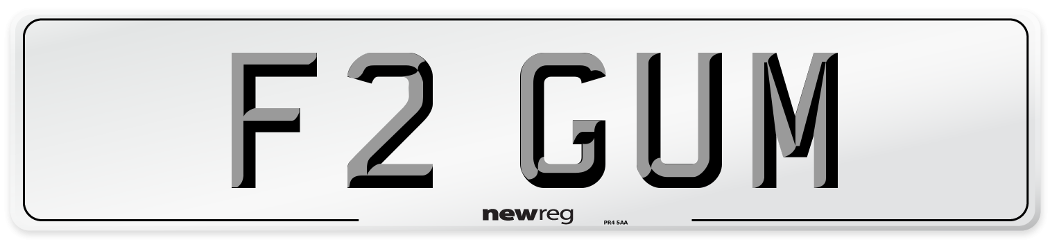 F2 GUM Number Plate from New Reg